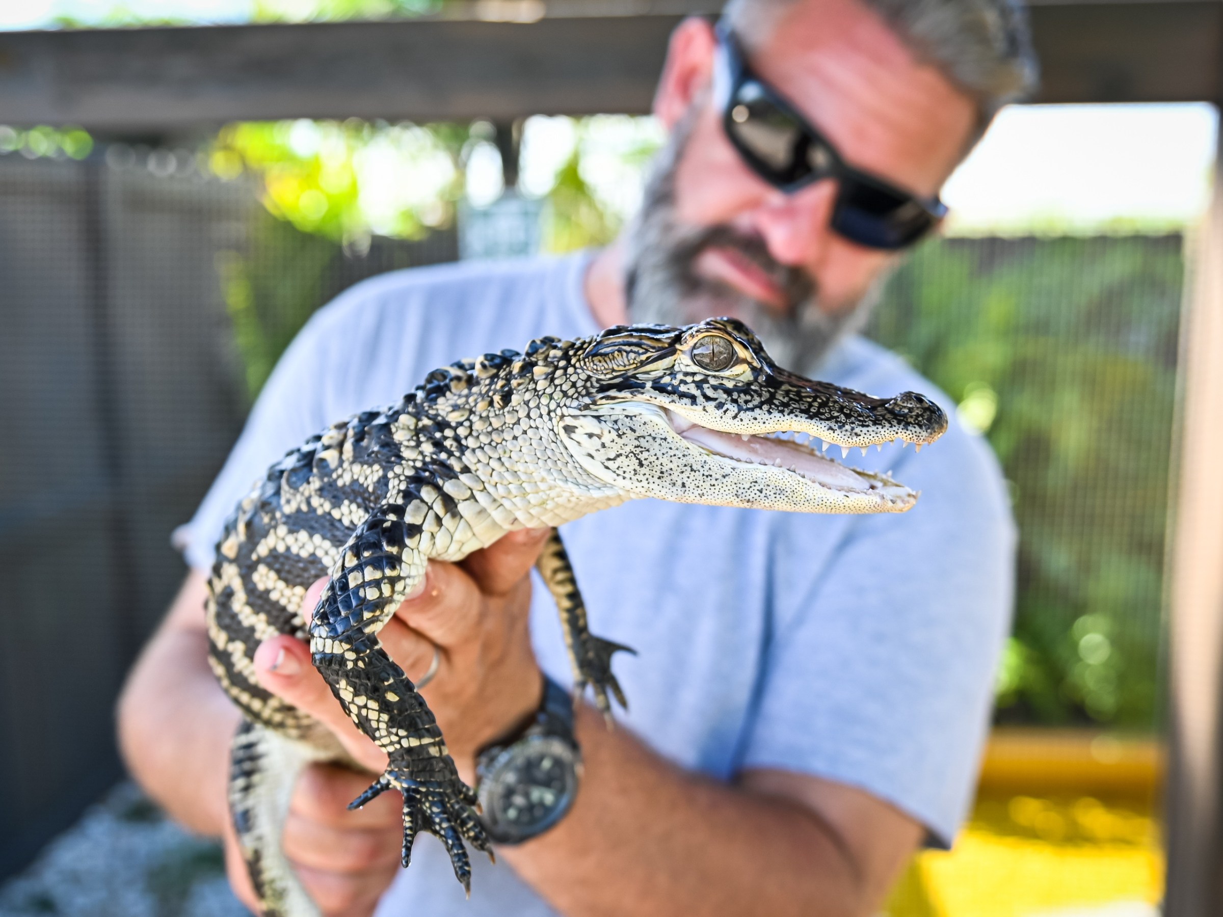 a man riding on the back of a reptile