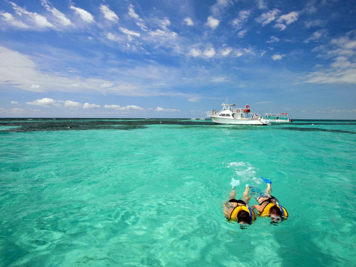 people swimming in a body of water