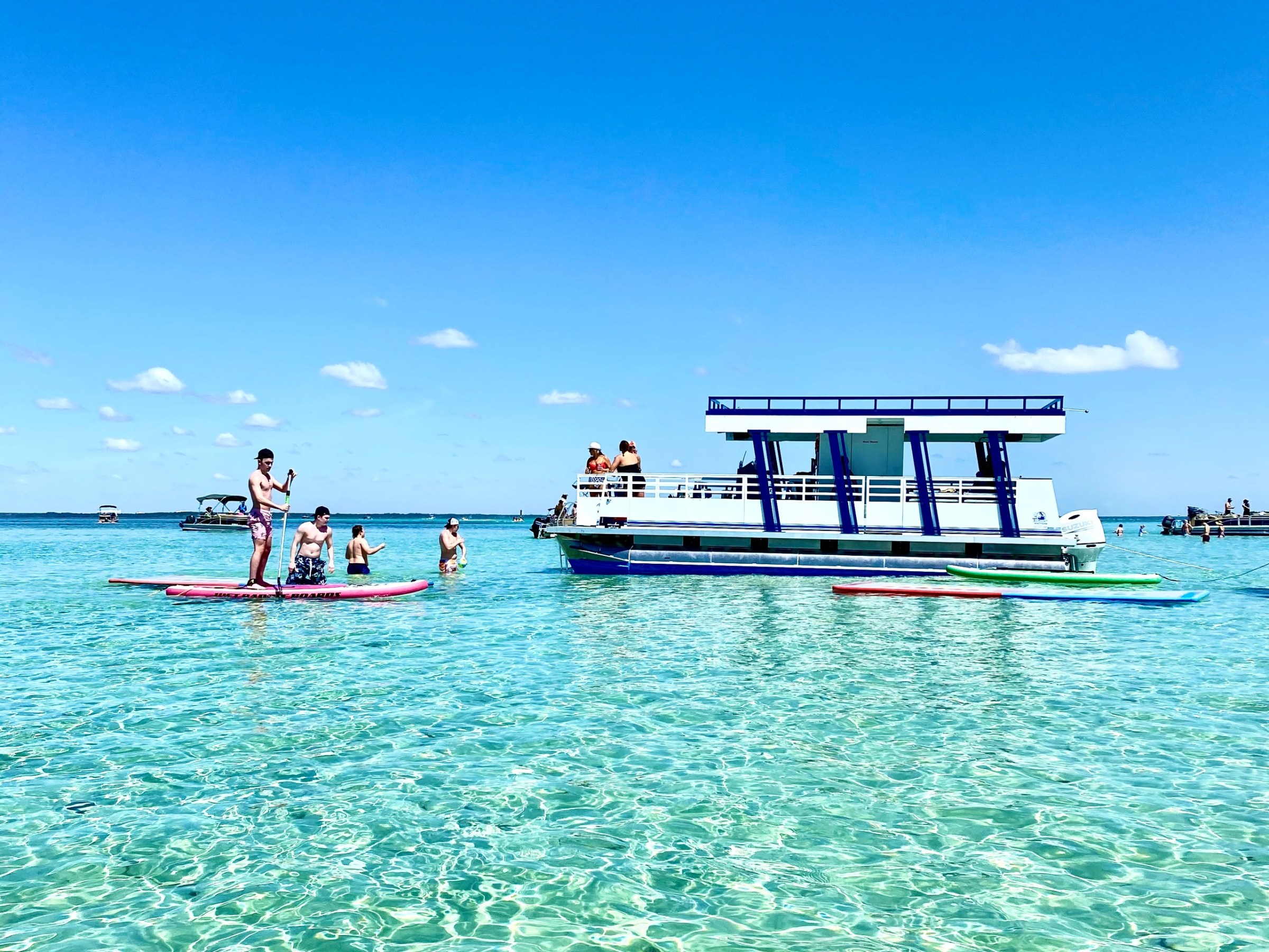 a group of people swimming in a body of water