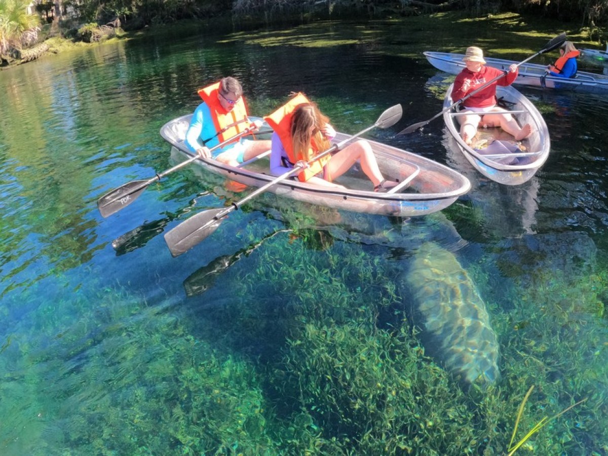 a group of people riding on the back of a boat in the water