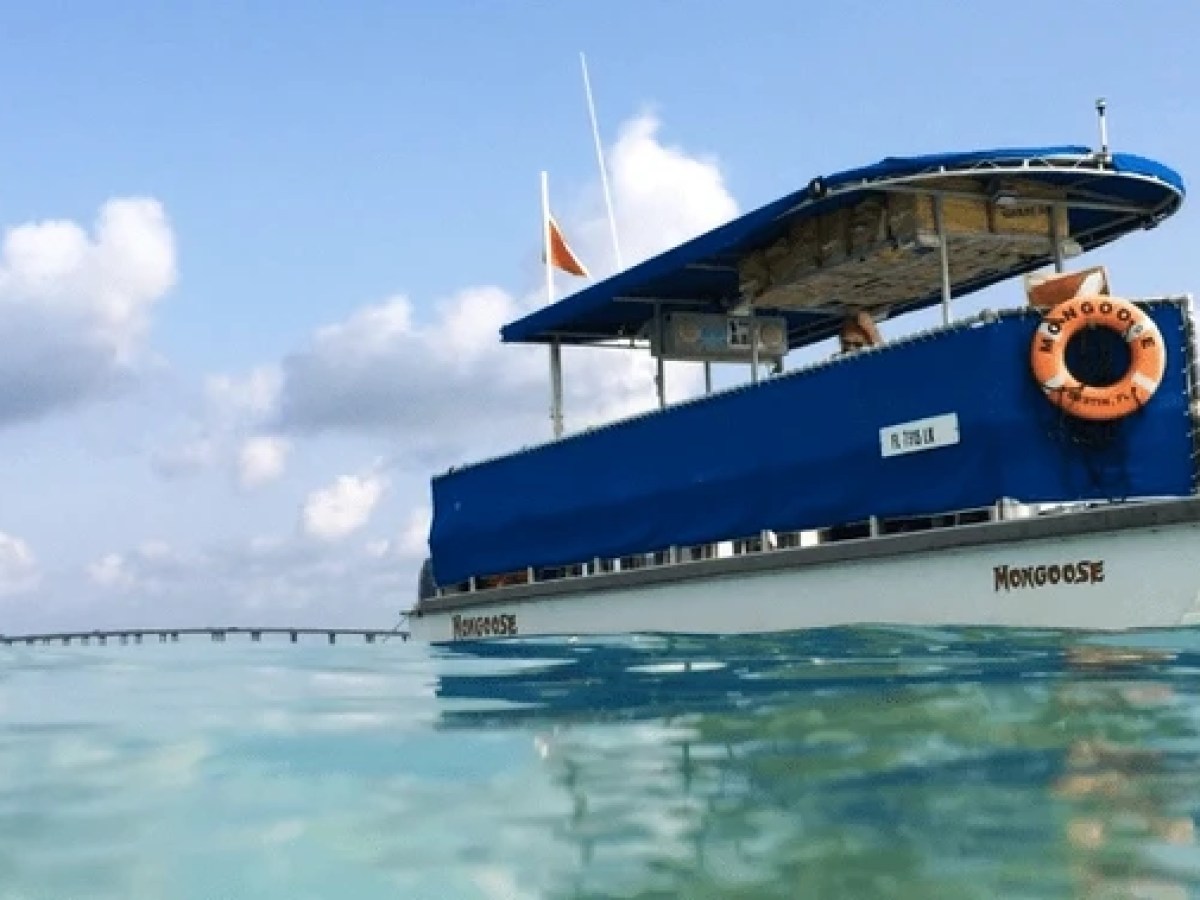 a blue and white boat sitting next to a body of water