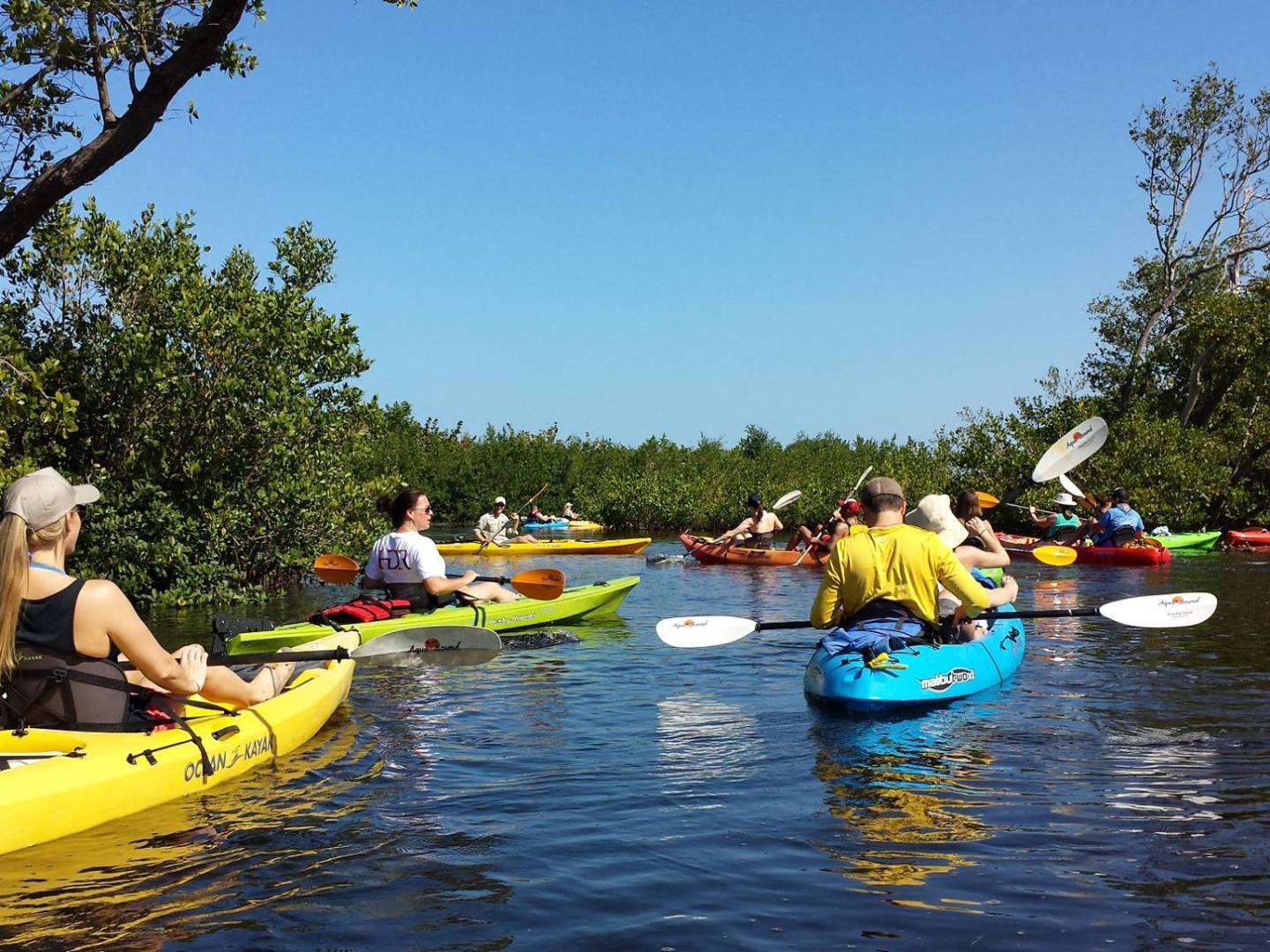 a group of people riding on the back of a boat